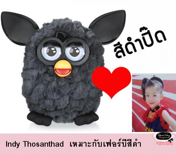  Indy Thosanthad  เหมาะกับเฟอร์บี้สีดำ