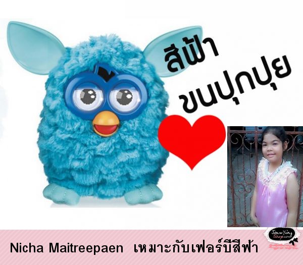  Nicha Maitreepaen  เหมาะกับเฟอร์บี้สีฟ้า