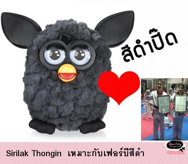  Sirilak Thongin  เหมาะกับเฟอร์บี้สีดำ