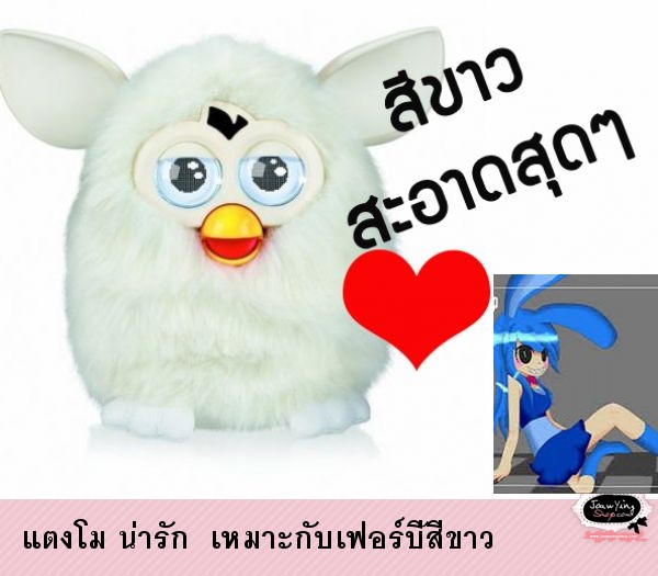  แตงโม น่ารัก  เหมาะกับเฟอร์บี้สีขาว